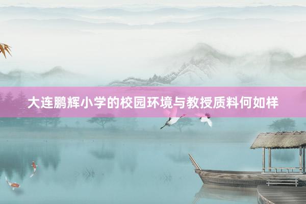 大连鹏辉小学的校园环境与教授质料何如样