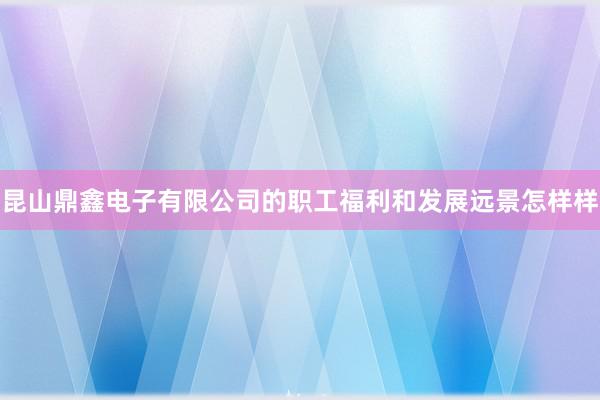 昆山鼎鑫电子有限公司的职工福利和发展远景怎样样