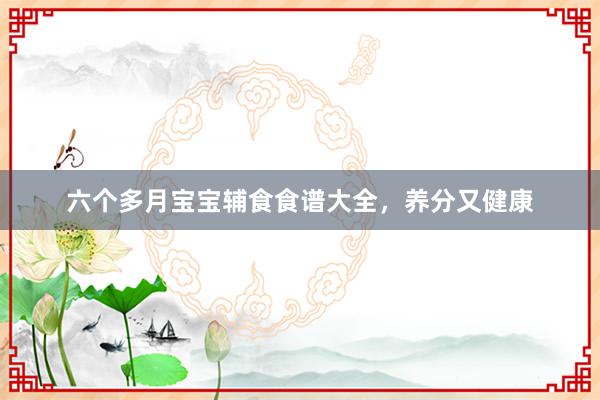 六个多月宝宝辅食食谱大全，养分又健康