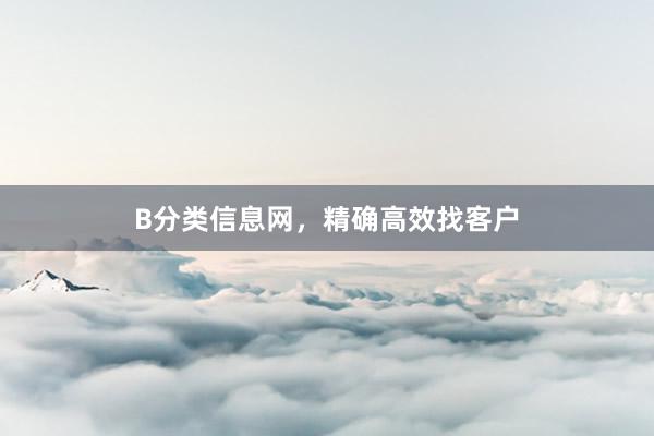 B分类信息网，精确高效找客户